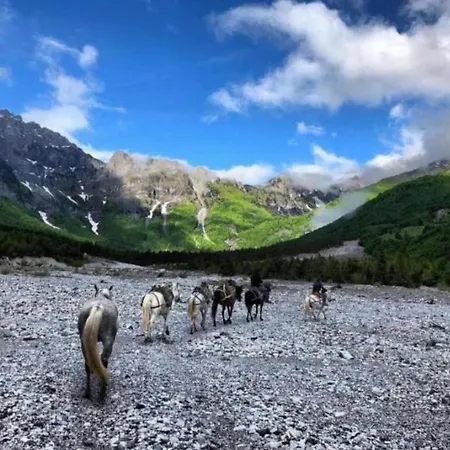 بيت شباب Kukaj فالبني