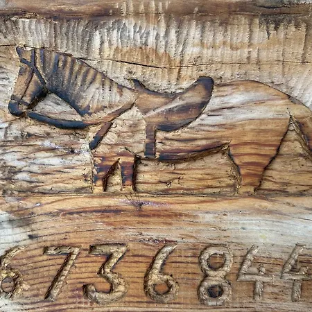 Kukaj * فالبني