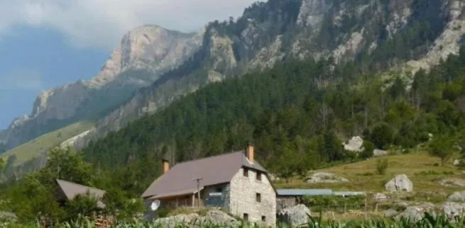 Kukaj * 瓦勒博内